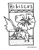 Hibiscus Flower to Color