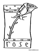 Rose Poster to Color